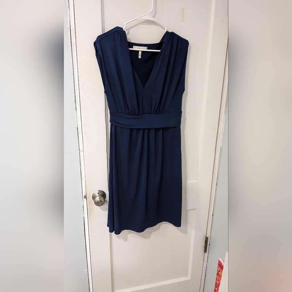 Lark and Ro Dress. Size 10